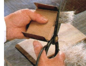 赤ちゃん筆の寸切り